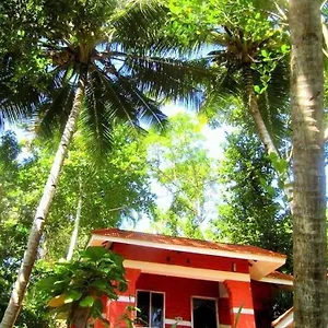 beach-valley.kerala-hotels.net/